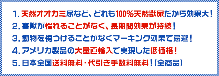 1ŷǢʤɡɤ100ŷǢ硪2ä뤳ȤʤĹָ̤³ 3ưʪĤ뤳Ȥʤޡ󥰸̤Ǵ 4ꥫʤľ͢Ǽ¸ʡ5̵̵()