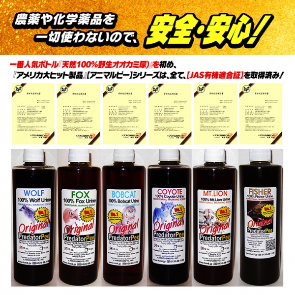 炎狼 51SWgf-MBXL._AC_SY200_QL15_.jpg