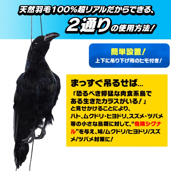 New防鳥クローン・カラス(VS102)】【天然羽毛・実物大で超リアル