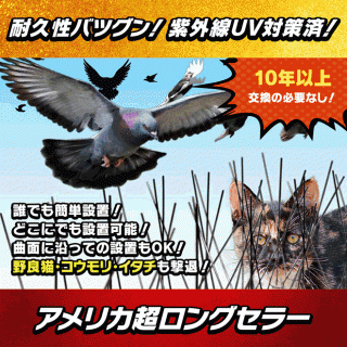 ��New�С��ɡ����ѥ���(STS10)�ۡ��ѵ����Хĥ���!�糰��UV�к��ѤߤǴ��!������ǭ(�ͤ�/�ͥ�)/���ɸ�/���饹(���餹)/ȷ(�ϥ�)/�९�ɥ�(̺Ļ)/�ҥ�ɥ�/�������(�������)/�ϥ��ӥ���/������/���̥�/���Ĥ�/���饤����/��/�����/�༣/����/�к�!