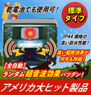 ڥ˥ޥڥ顼(ɸॿ)(ST628)ۡڴӤǤѲ!ۡɿ奿פǱŷǤOK!ۥĶȤʤɤǥΥ//ϥӥ/饹/ȷ/ҥɥ/९ɥ//ǭ//ͥ/̥/饤/ʥ//ĥ/ꥹáĻ/༣//к!