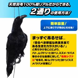 New防鳥クローン カラス Vs102 天然羽毛 実物大で超リアル カラス烏からす ハト鳩はと ムクドリ椋鳥むくどり ヒヨドリ ひよどり 雀スズメ 燕ツバメつばめ等を駆除 退治 撃退 対策 最新型ペストコントロ デラックス 最強力タイプ 害獣 害鳥対策の超音波 New防鳥クローン カラス Vs102 天然羽毛 実物大で超リアル カラス烏からす ハト鳩はと ムクドリ椋鳥むくどり ヒヨドリ ひよどり 雀スズメ 燕ツバメつばめ等を駆除 退治 撃退 対策 最新型ペストコントロ デラックス 最強力タイプ 害獣 害鳥対策の超音波