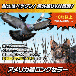 【Newバード・スパイク(STS10)】【耐久性バツグン!紫外線UV対策済みで頑丈!】野良猫(ねこ/ネコ)/野良犬/カラス(からす)/鳩(ハト)/ムクドリ(椋鳥)/ヒヨドリ/コウモリ(こうもり)/ハクビシン/イタチ/タヌキ/きつね/アライグマ/鹿/猿を駆除/退治/撃退/対策!