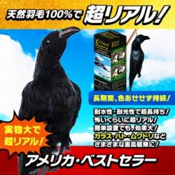 【New防鳥クローン・カラス(VS102)】【天然羽毛・実物大で超リアル!】カラス烏からす/ハト鳩はと/ムクドリ椋鳥むくどり/ヒヨドリ(ひよどり)/雀スズメ/燕ツバメつばめ等を駆除/退治/撃退/対策!