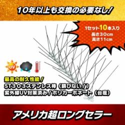 【Newバード・スパイク(STS10)】【耐久性バツグン!紫外線UV対策済みで頑丈!】鹿(シカ/しか)/猪(イノシシ/いのしし)/猿(サル/さる)/熊/野良猫/カラス/ハト/ムクドリ/ヒヨドリ/コウモリ/ハクビシン/イタチ/たぬき/アライグマ/キツネを駆除/退治/撃退/対策!